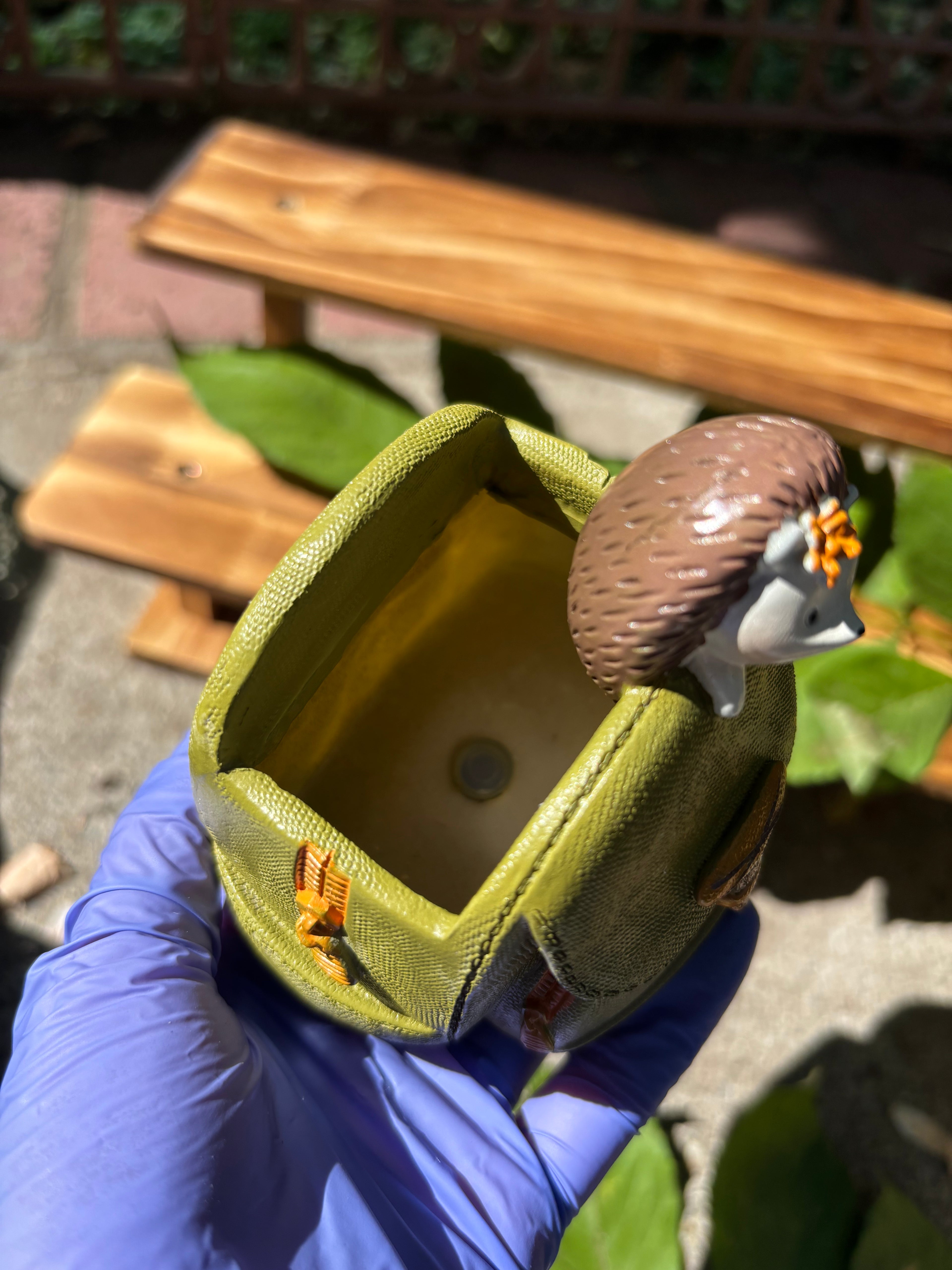 Hedgehog on Backpack Succulent Planter