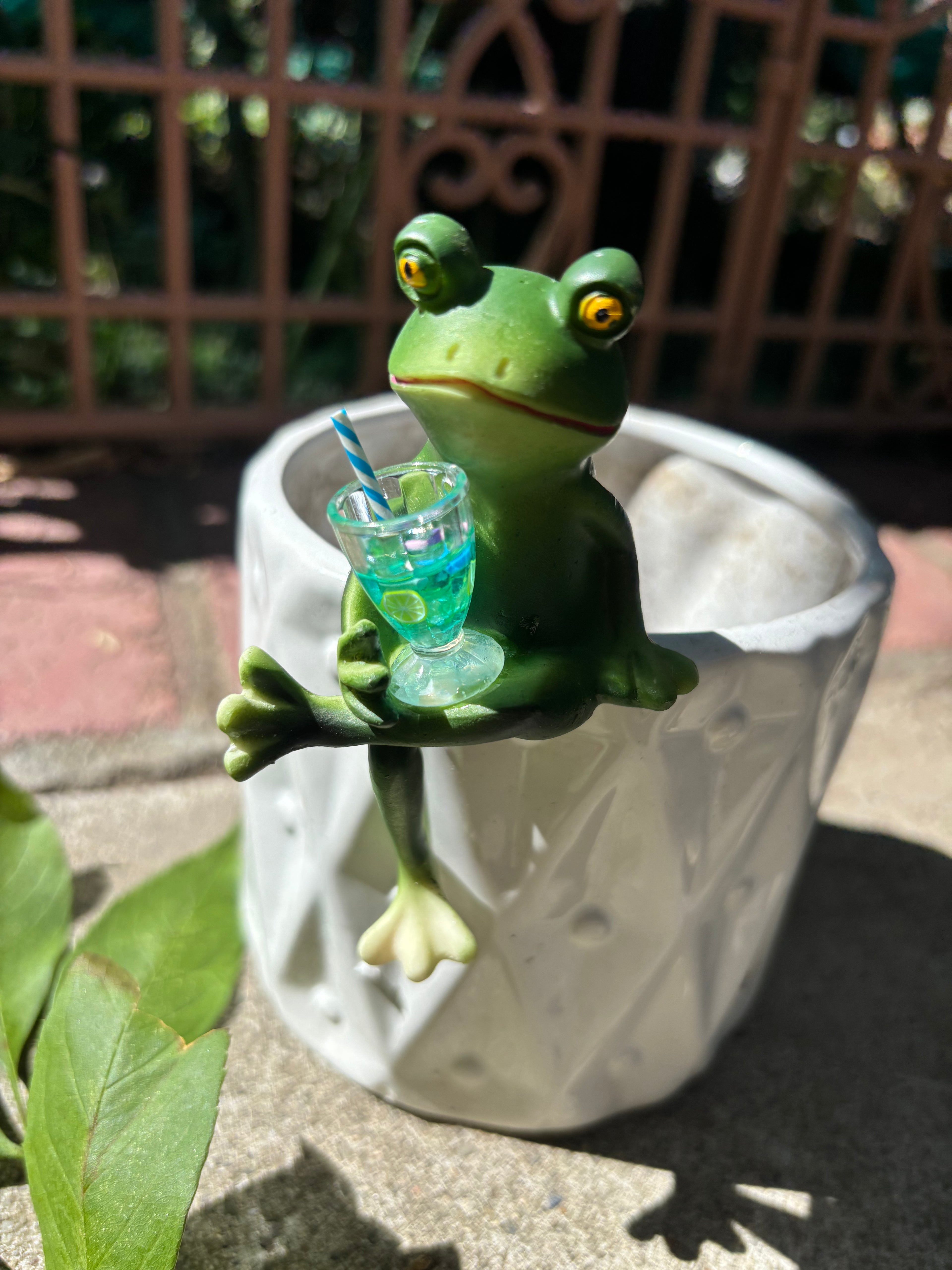 Resin Frog Planter Hanger