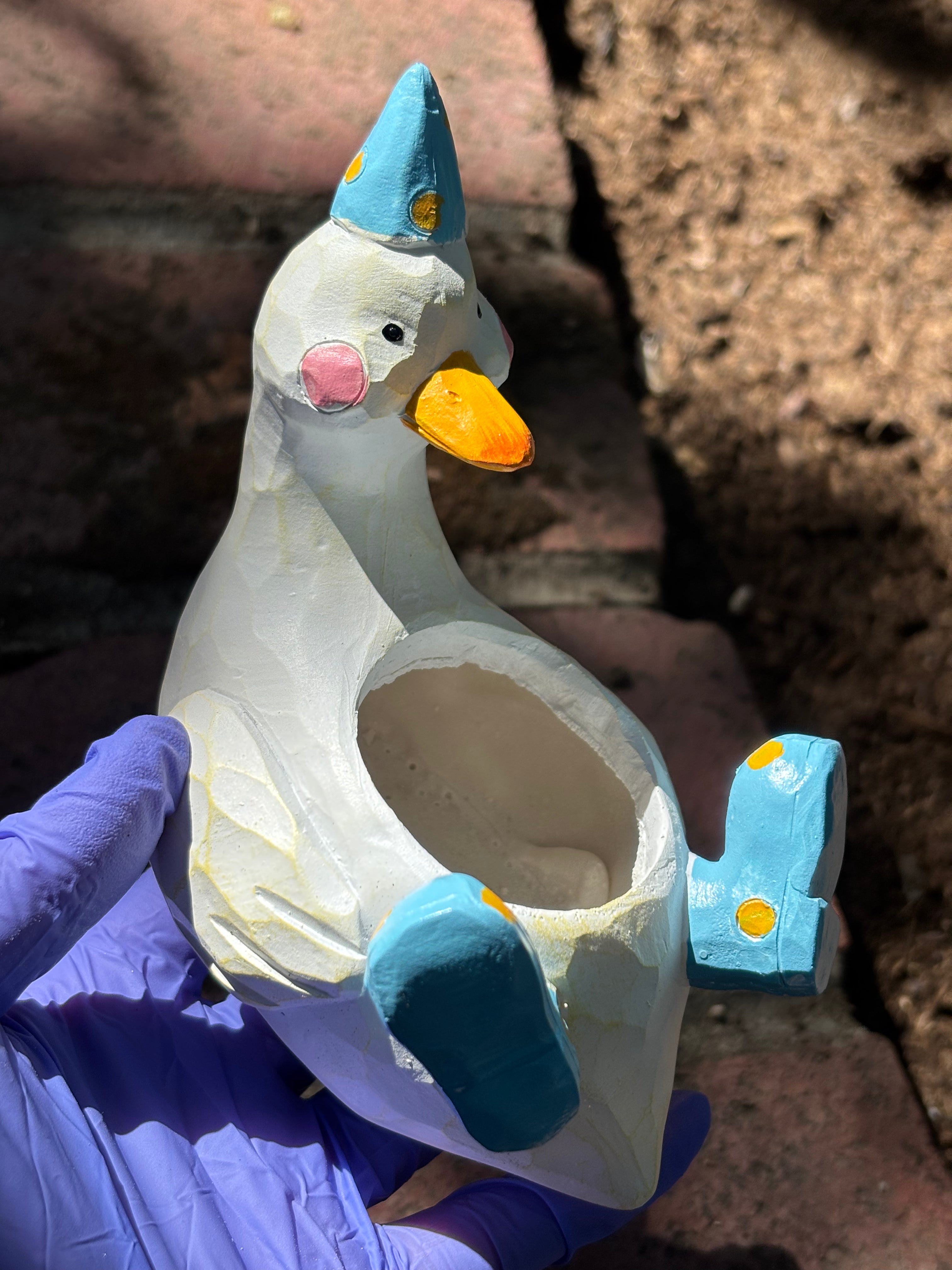 Cartoon Duck Succulent Planter
