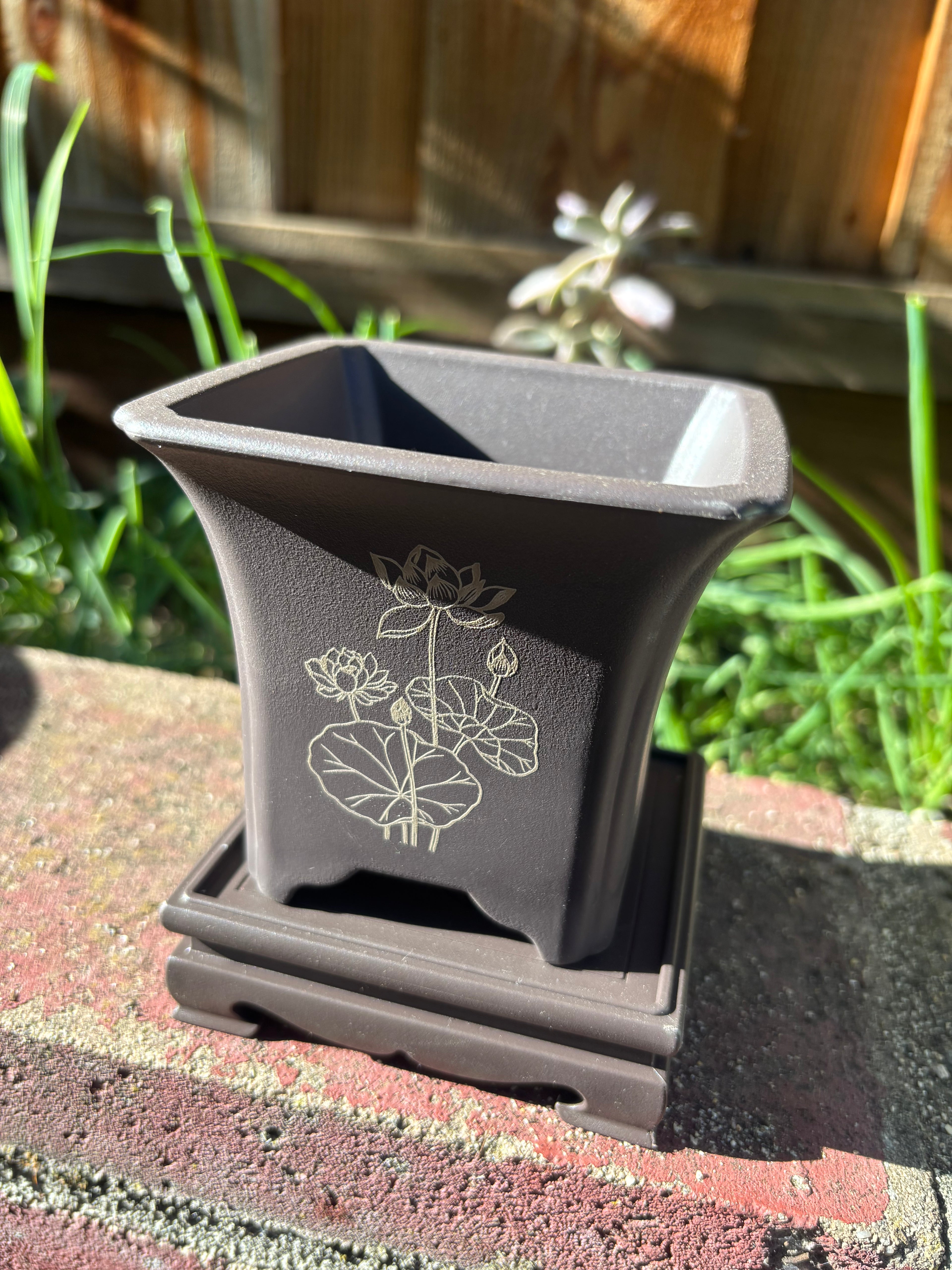 Square Resin Planter with Lotus Design + Stand