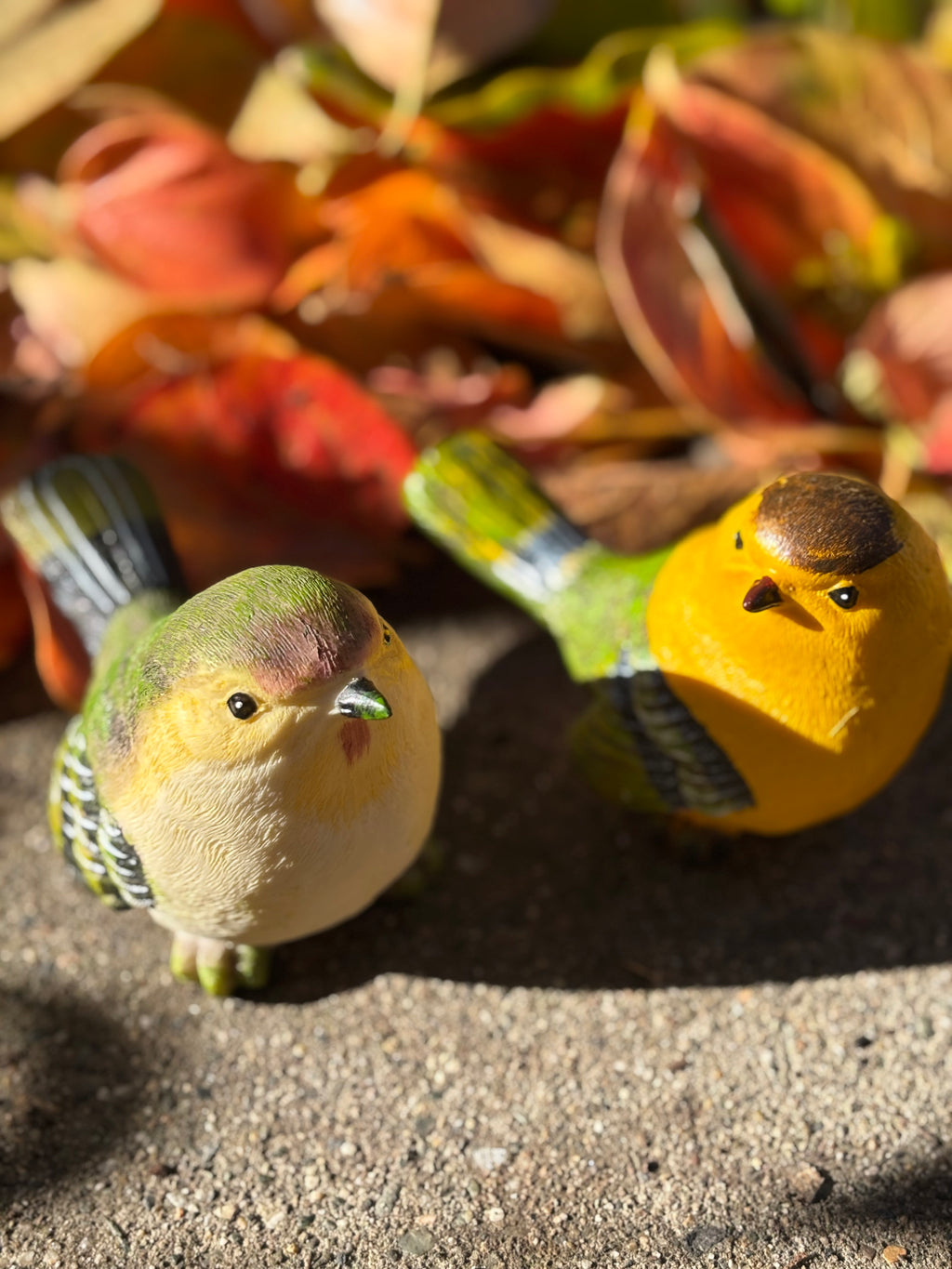 Cute Garden-Style Realistic Bird Figurine Set-1 (2 Pieces)