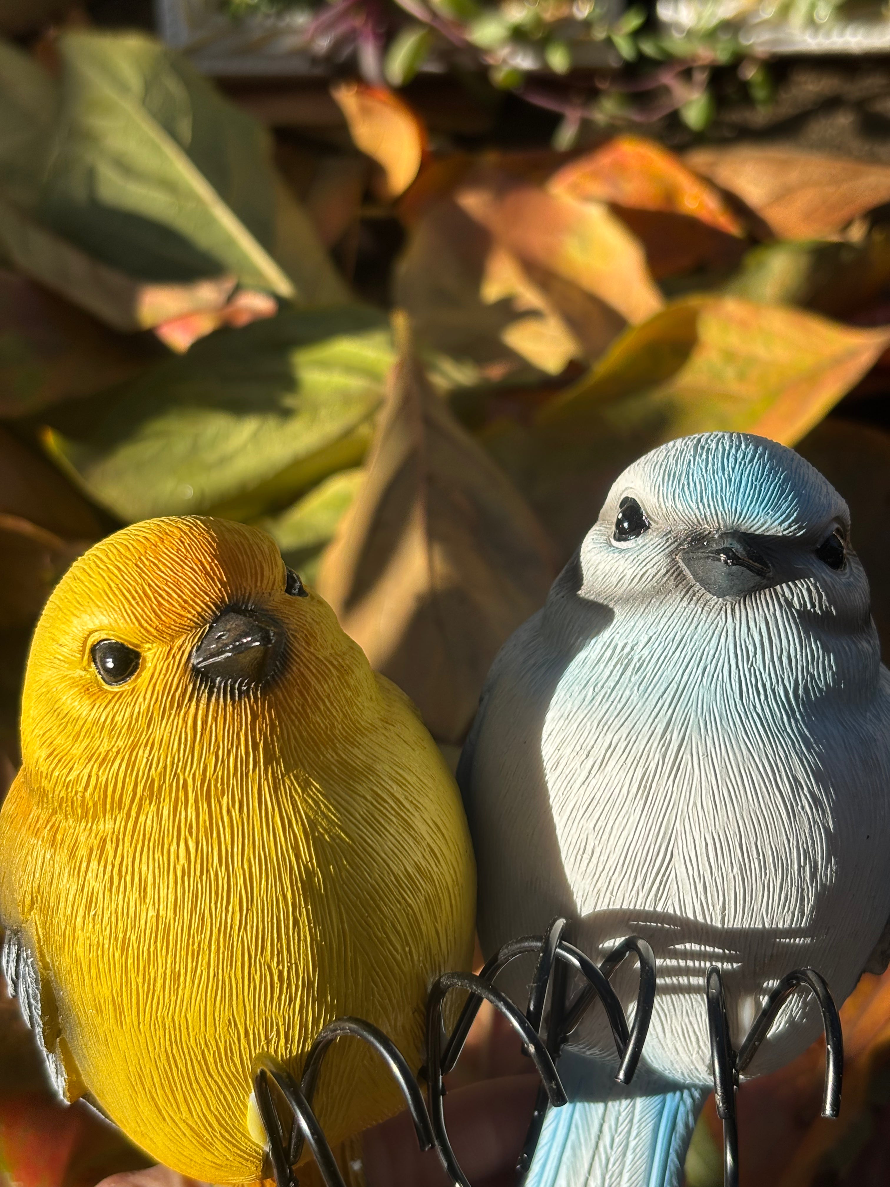 Garden-Style Realistic Bird Figurine Set-2 (2 Pieces)