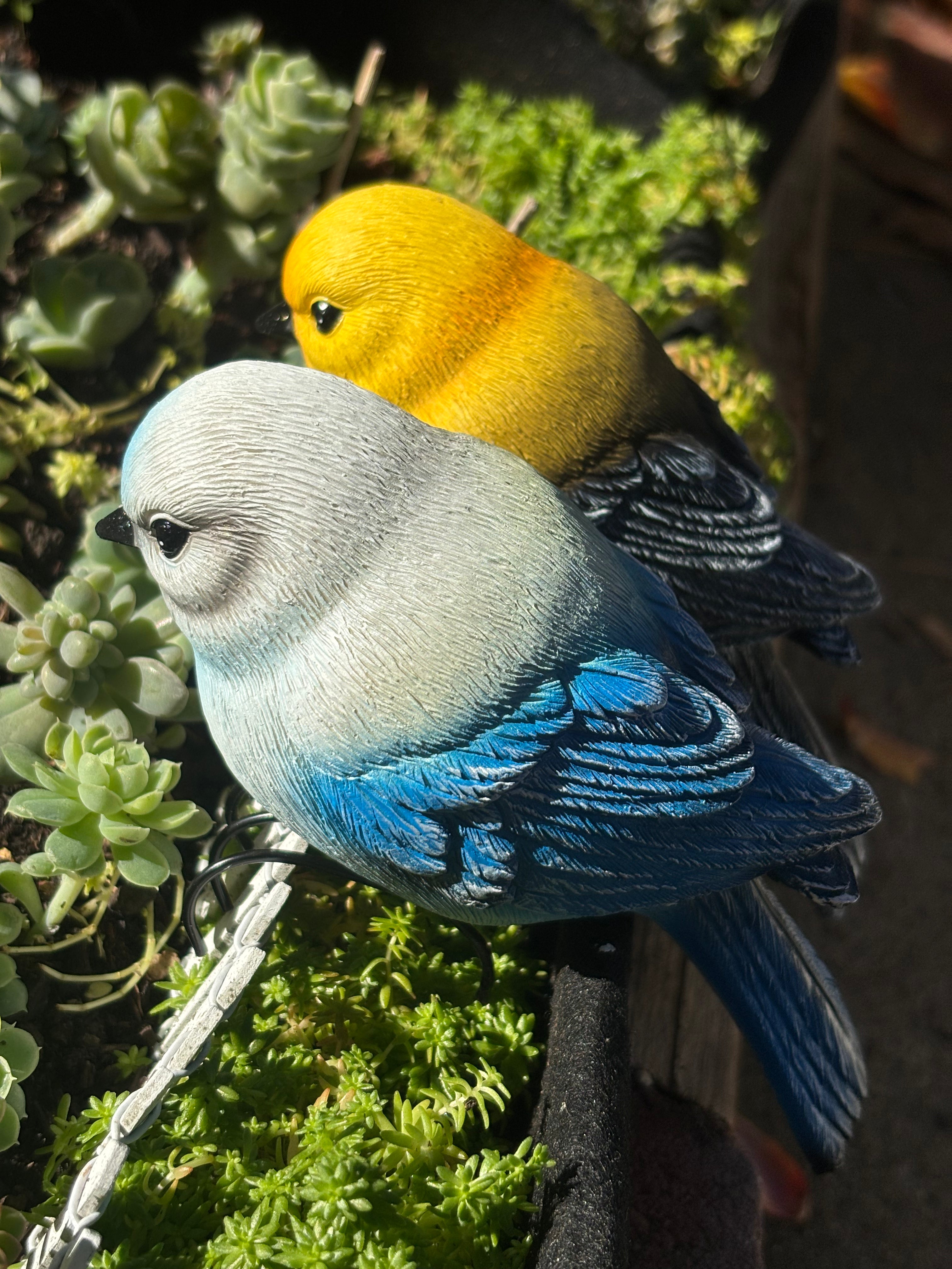 Garden-Style Realistic Bird Figurine Set-2 (2 Pieces)