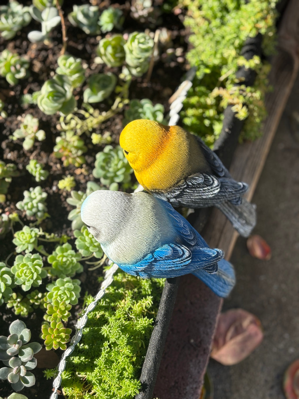 Garden-Style Realistic Bird Figurine Set-2 (2 Pieces)