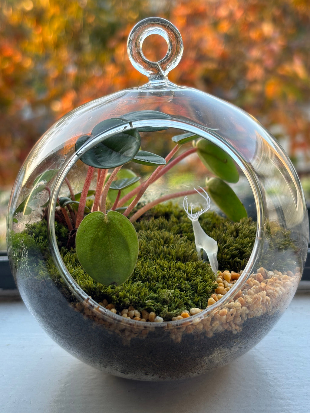 Silent Forest • Deer & Moss Terrarium
