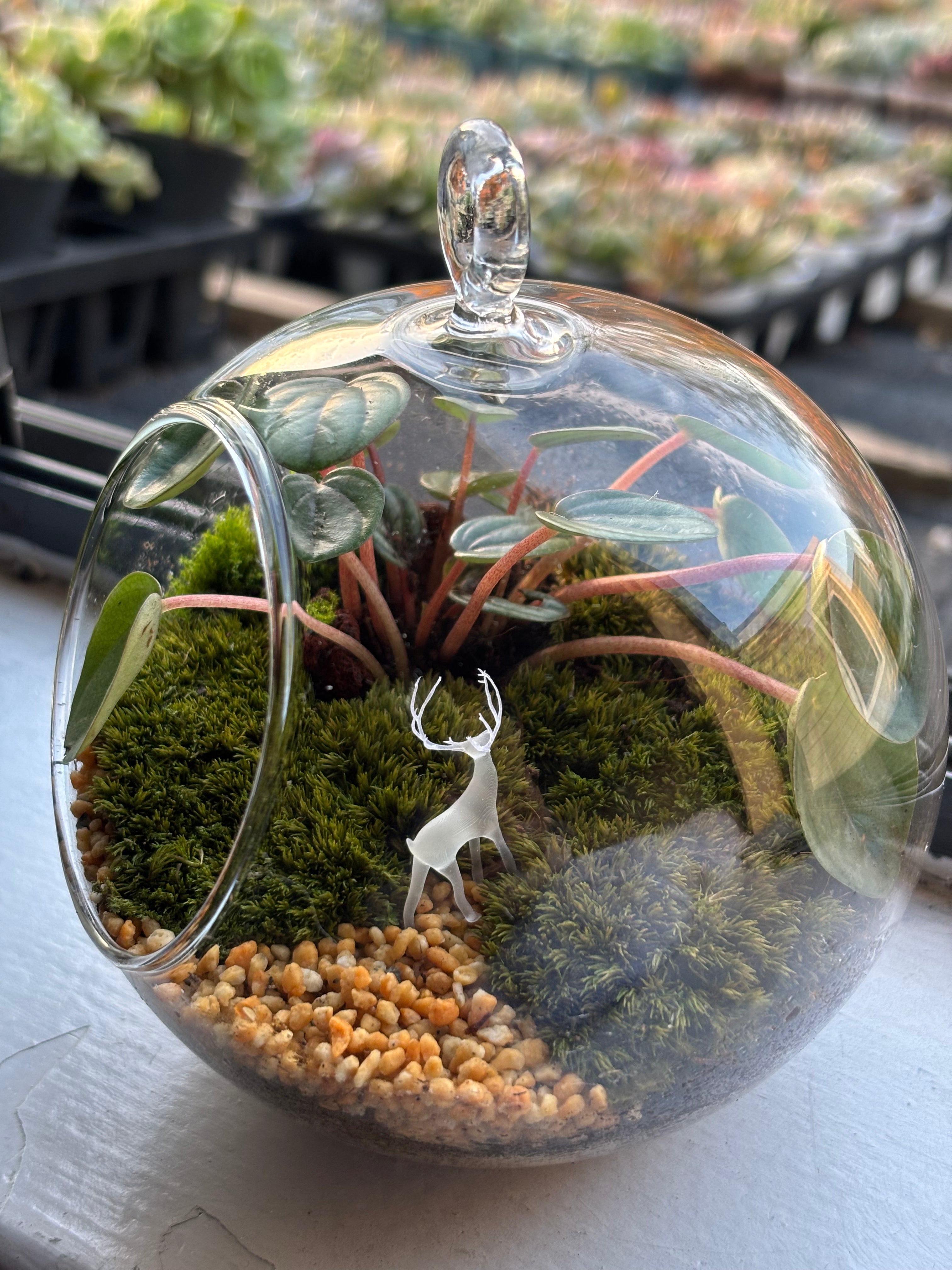 Silent Forest • Deer & Moss Terrarium