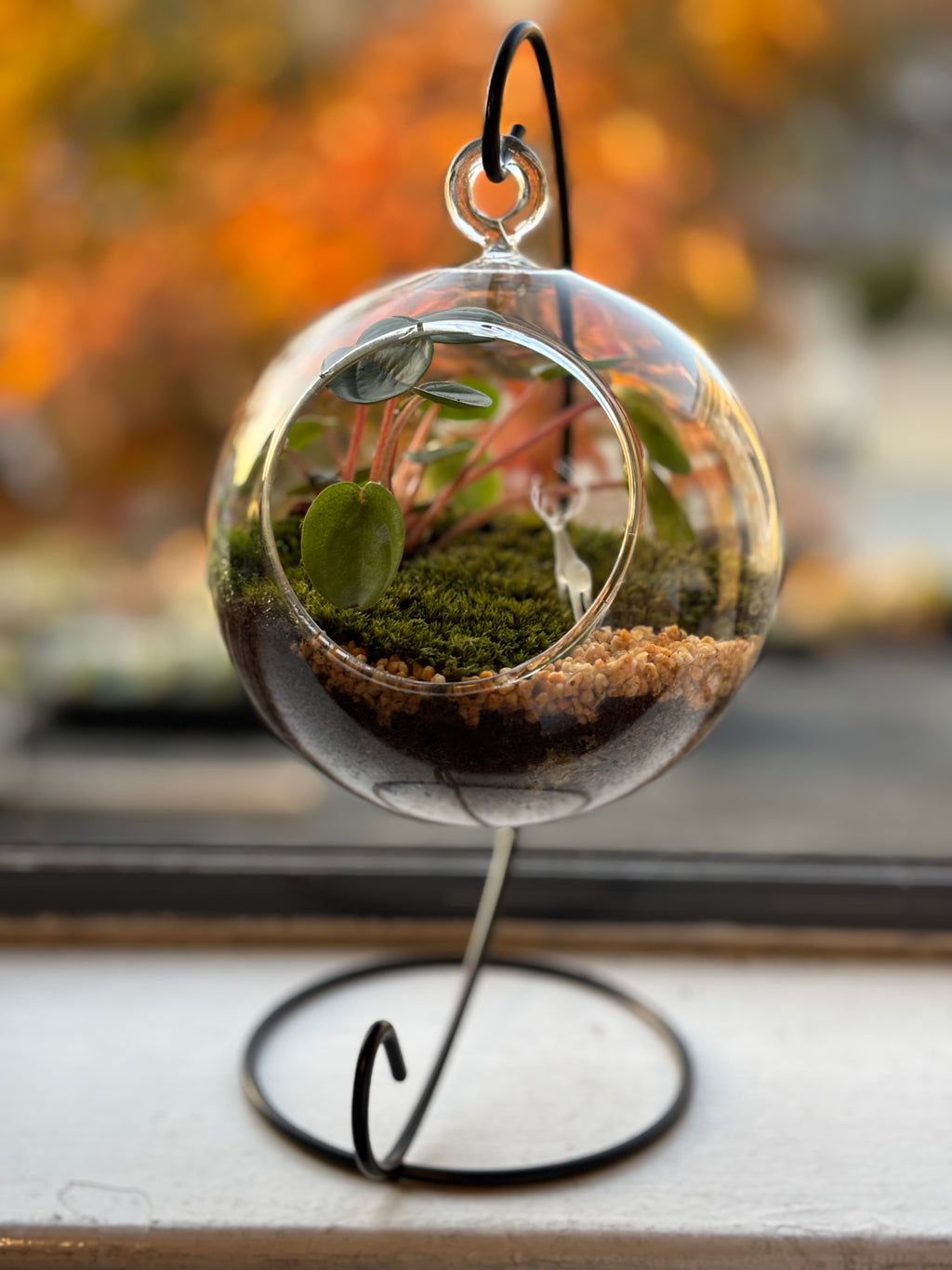 Silent Forest • Deer & Moss Terrarium