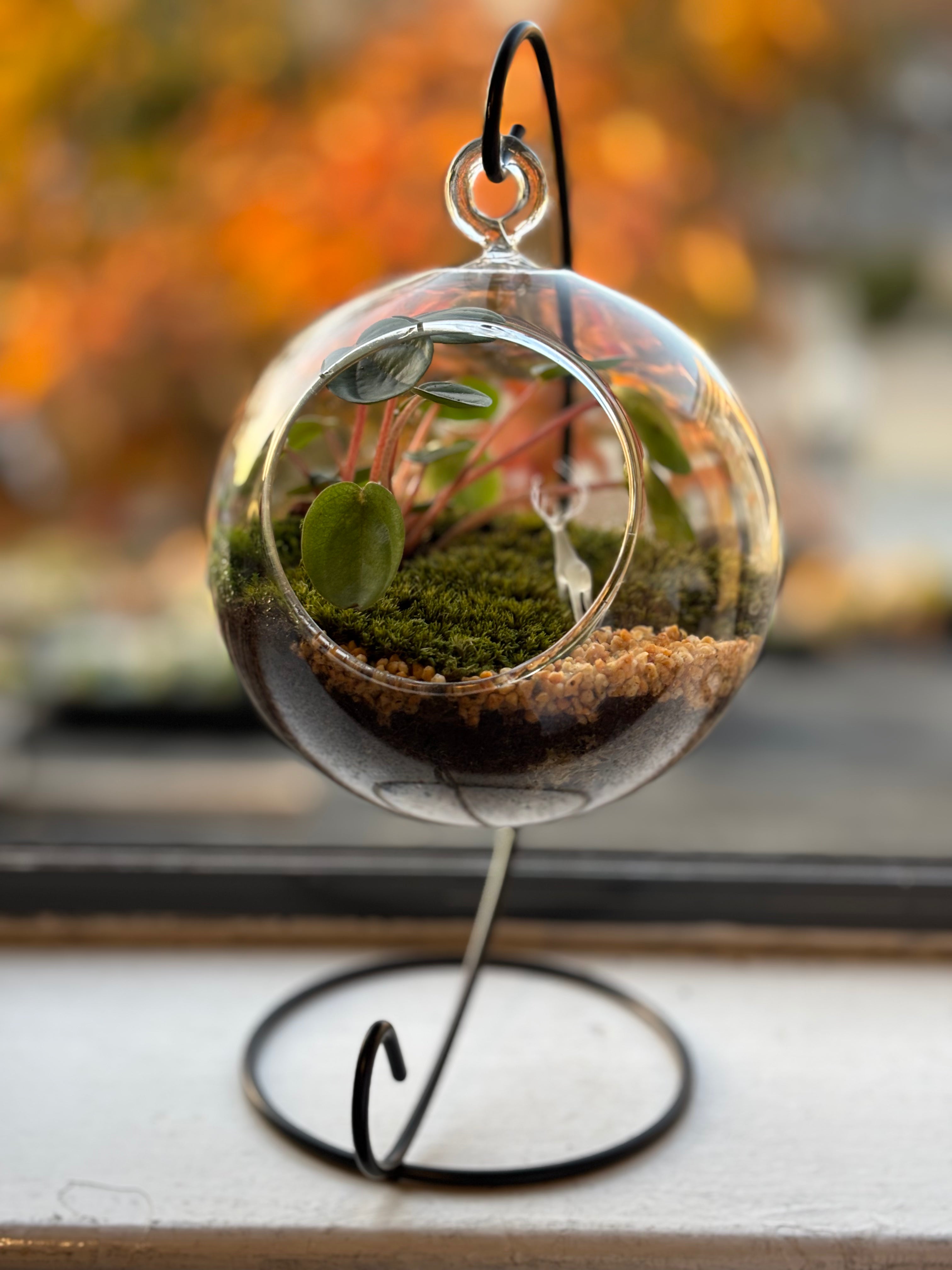 Silent Forest • Deer & Moss Terrarium