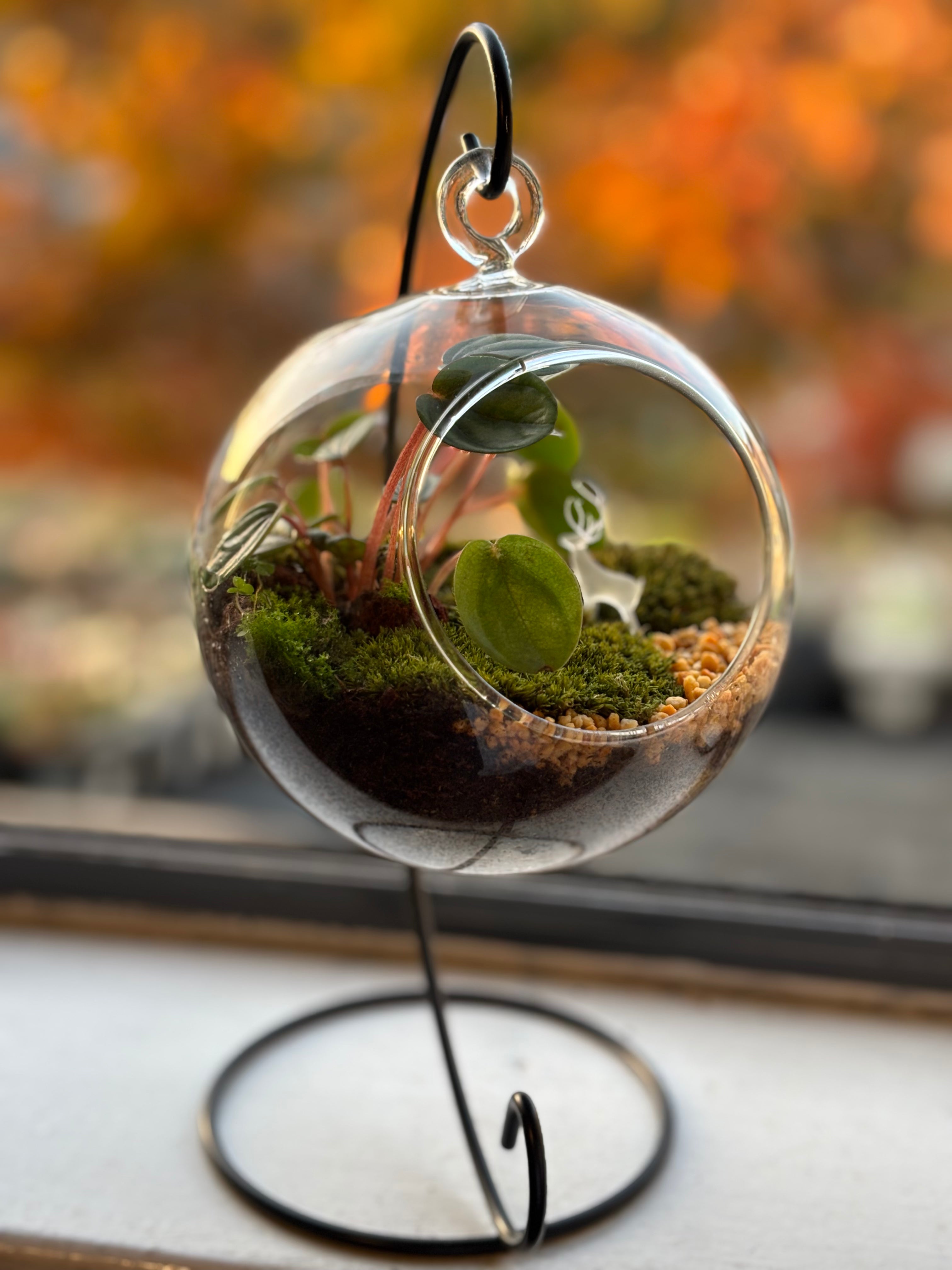 Silent Forest • Deer & Moss Terrarium