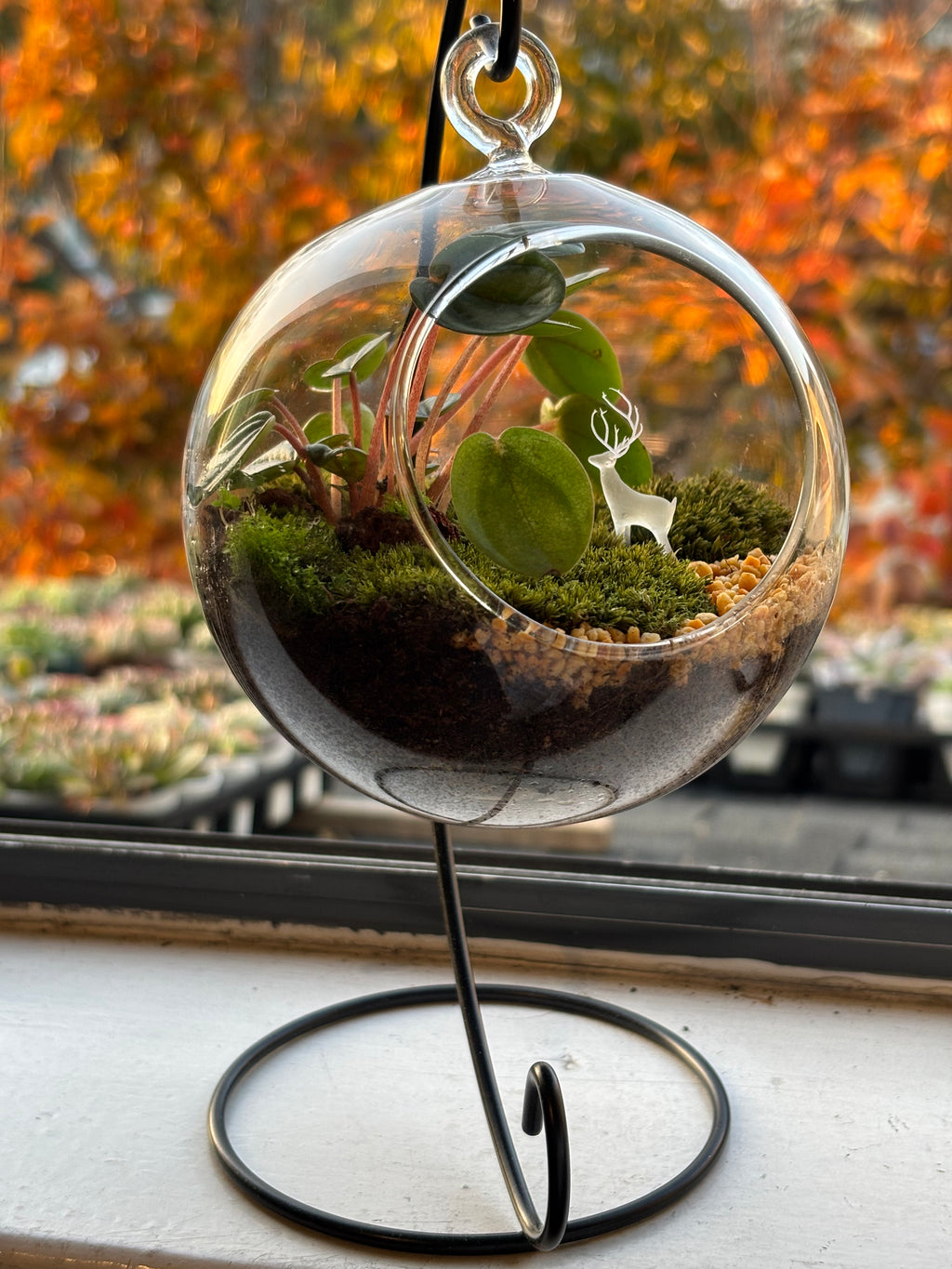 Silent Forest • Deer & Moss Terrarium