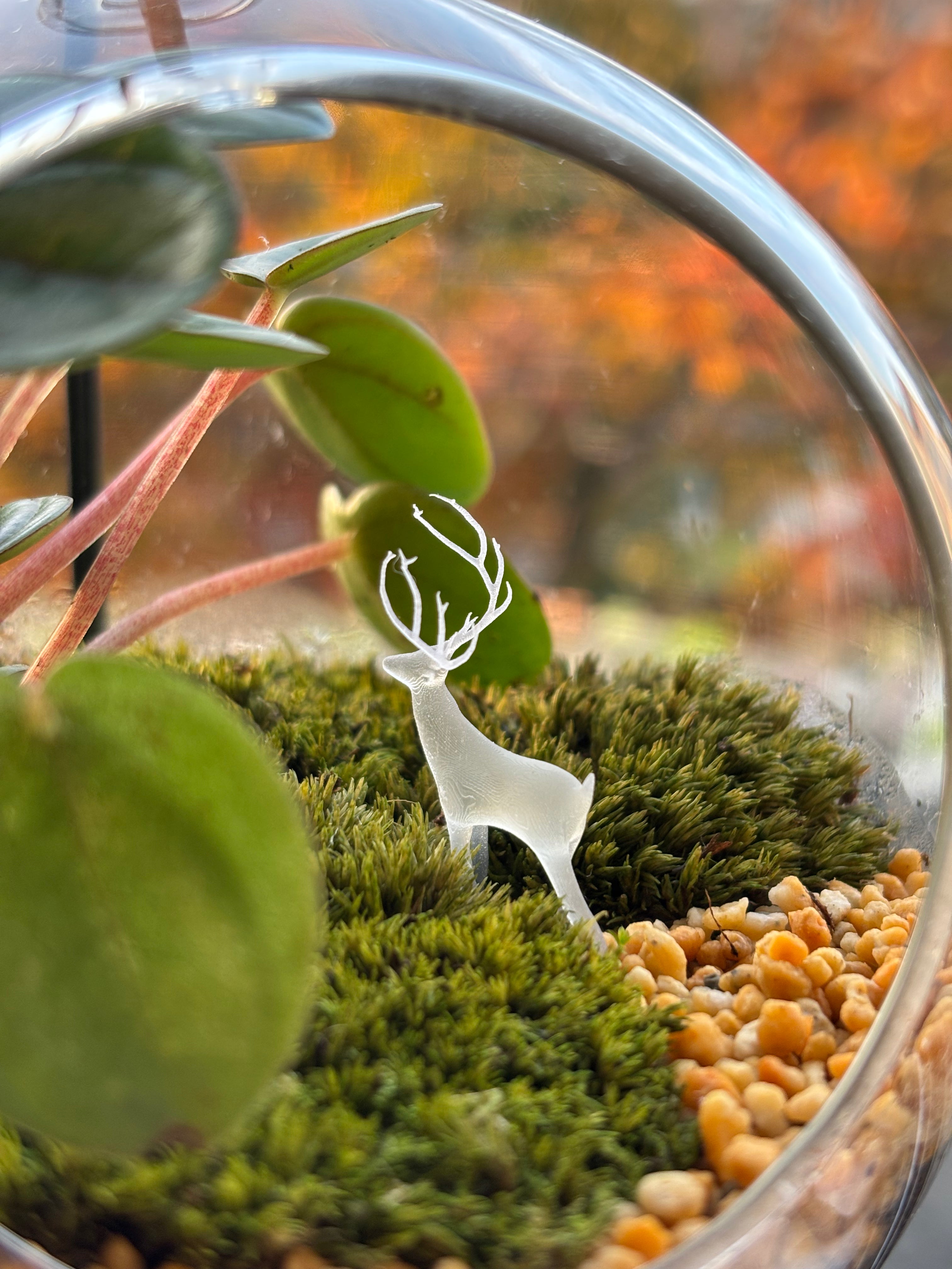 Silent Forest • Deer & Moss Terrarium