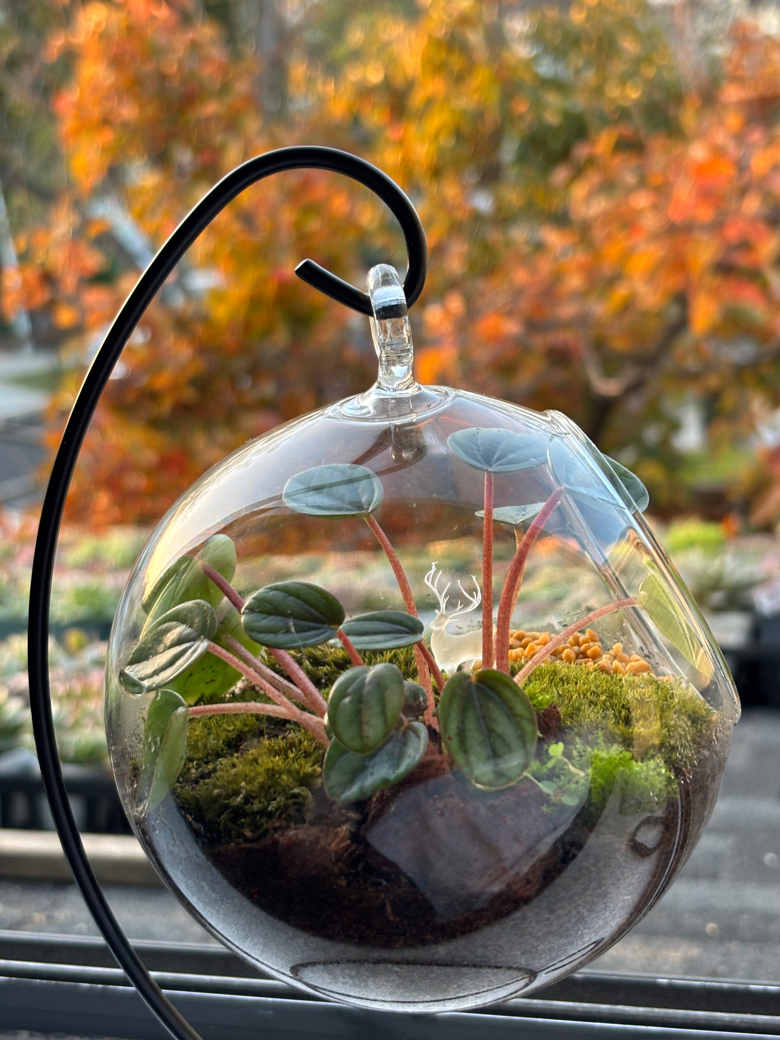 Silent Forest • Deer & Moss Terrarium